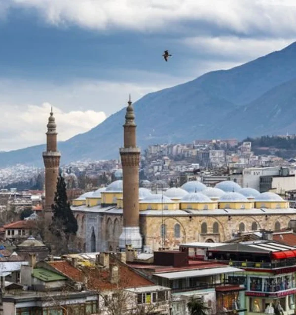 bursa